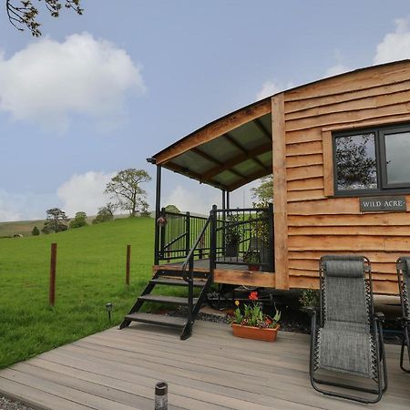 فيلا Wild Acre Llangadog المظهر الخارجي الصورة