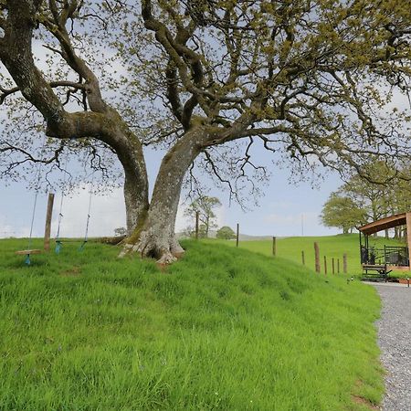 فيلا Wild Acre Llangadog المظهر الخارجي الصورة