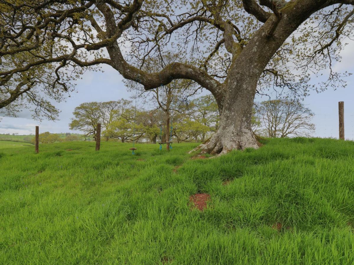 فيلا Wild Acre Llangadog المظهر الخارجي الصورة